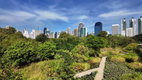 benjakitti park bangkok thailand green space city building skyline nature landscape