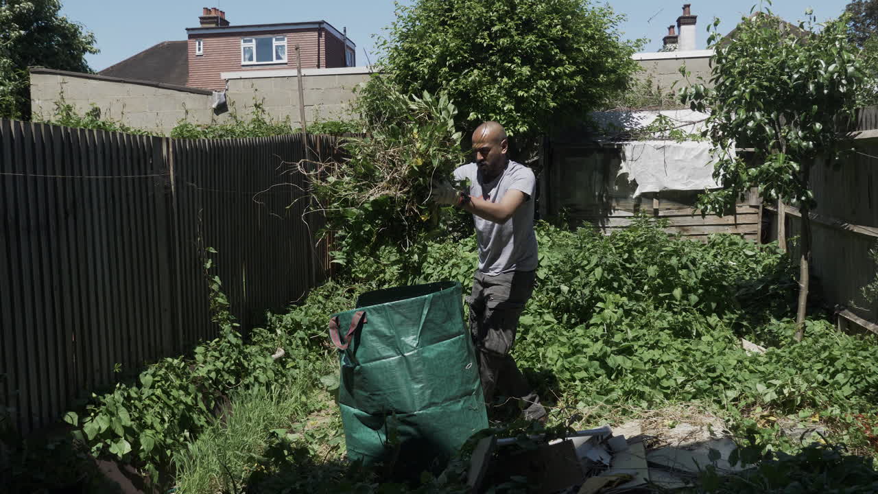 Uomo adulto di minoranza etnica che sta eliminando il convolvolo nel giardino sul retro