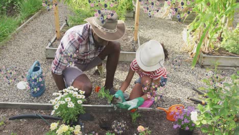 Animation-of-heart-flowers-over-african-american-father-and-daughter-gardening-plants