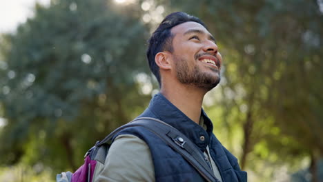 Backpack,-forest-and-man-on-an-adventure