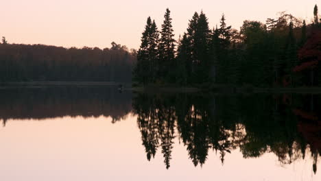 tree reflections on tranquil lake at dusk