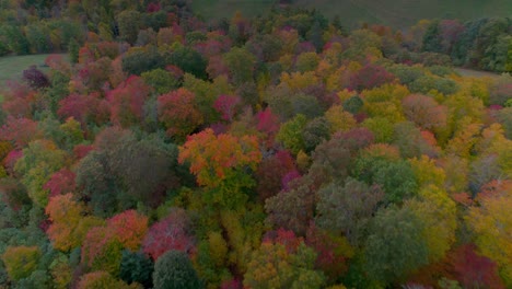 red, orange, and yellow leaves in the mountains of north carolina on an overcast morning as a drone flies over