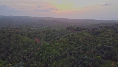 Luftaufnahme-Der-üppigen-Vegetation-In-Der-Ländlichen-Region-Rund-Um-Die-Stadt-El-Limón-Auf-Der-Halbinsel-Samaná-In-Der-Dominikanischen-Republik