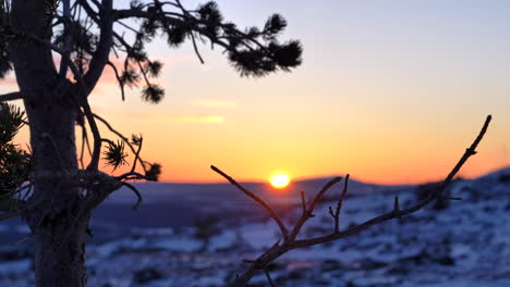 Resplandor-De-La-Puesta-De-Sol-Del-País-De-Las-Maravillas-De-Invierno,-Paisaje-De-La-Hora-Dorada