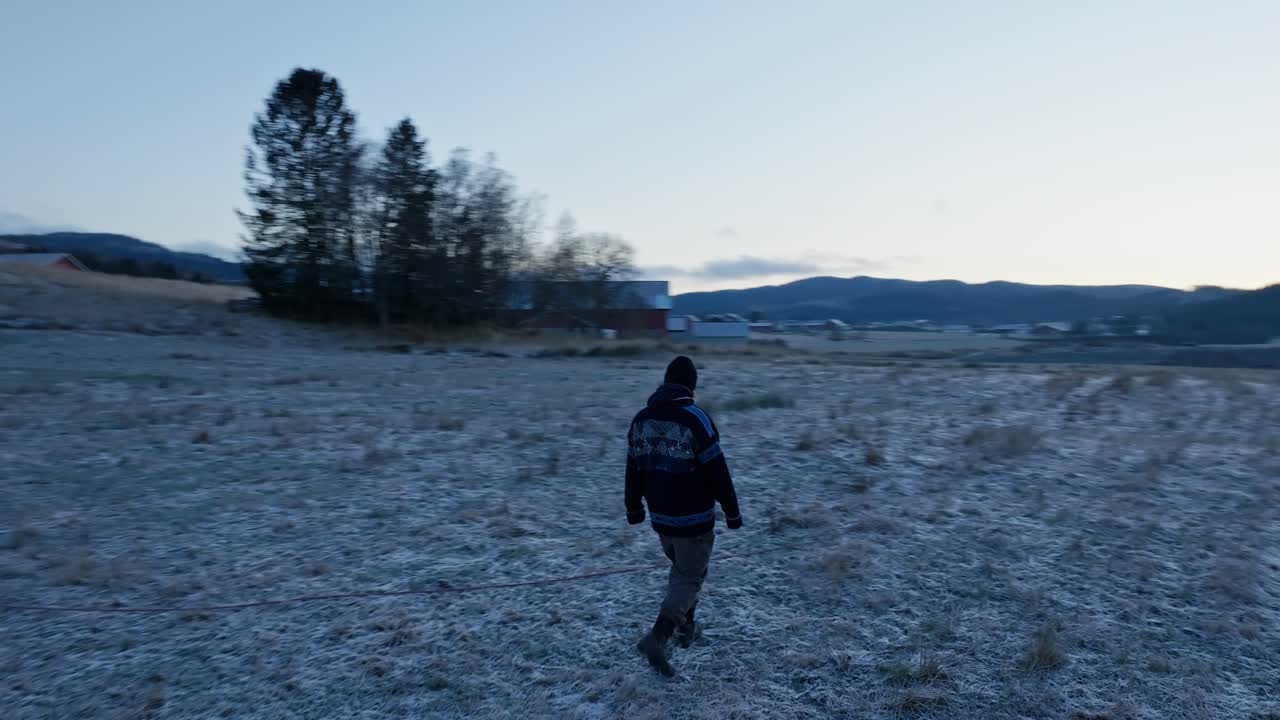 European Man Walking On Field With Alaskan Malamute Dog In Indre Fosen, Norway