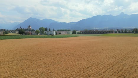 Aerial-shot-of-a-wheat-field