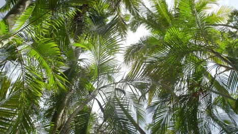 up view of several palms moving through the air