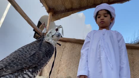 arab child in traditional outfit kandura standing near falcon