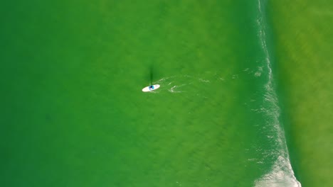 Toma-Aérea-De-Drones-De-Stand-Up-Paddle-Boarder-En-Playa-De-Arena-Ola-Litoral-Romper-Océano-Pacífico-Terrigal-Costa-Central-Nsw-Australia-3840x2160-4k