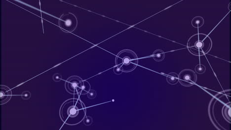 animación de redes de conexiones
