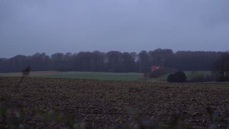 Ein-Feld-Im-Januartag