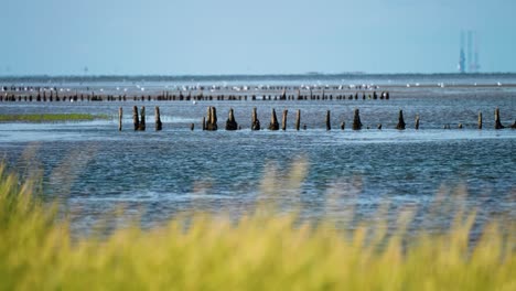 aguas poco profundas a lo largo del camino a la isla de mando