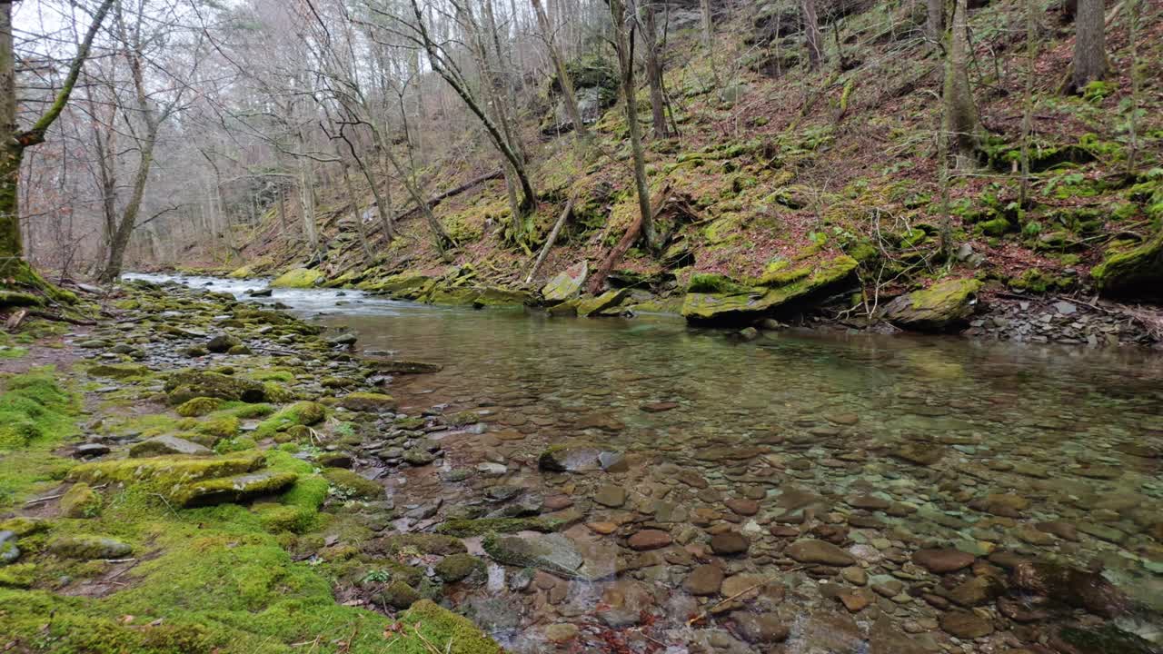 A beautiful fishing stream in New York's Catskill Mountains on a rainy early spring day