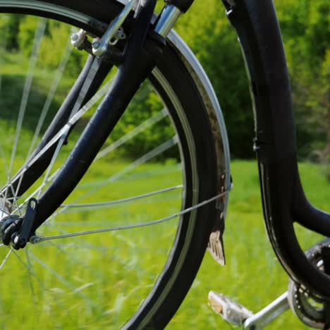 Un-Hombre-Conduce-Una-Bicicleta-A-Través-De-Un-Prado-Verde-1