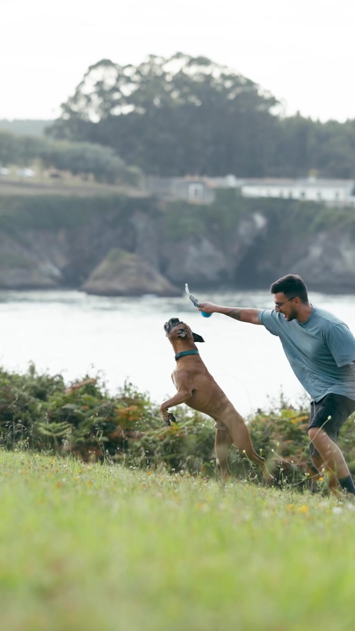 Man Playing with Boxer Dog on Grassy Hillside by the Ocean