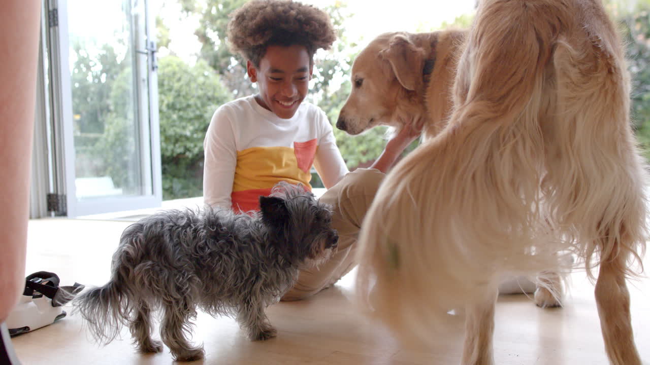 un niño afroamericano feliz sentado en el suelo, acariciando a sus perros de mascota, en cámara lenta