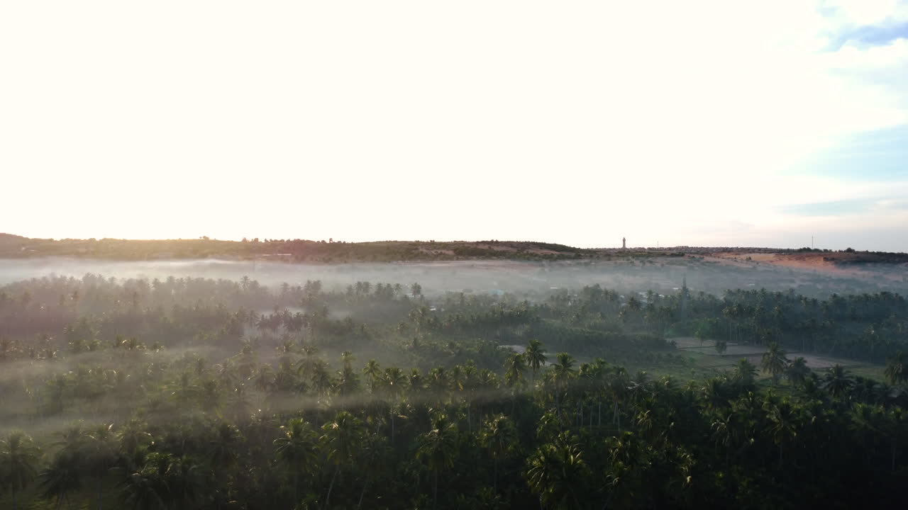 공중 비행 아름다운 열대 풍경과 이른 아침 안개와 안개가 맴도는 코코넛 나무 농장 - 베트남, 아시아