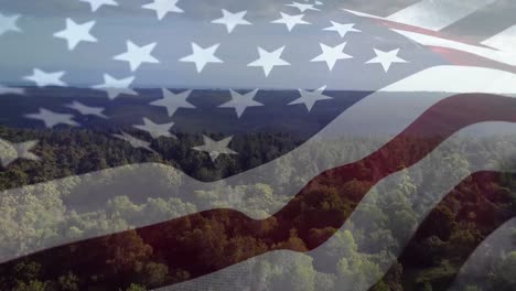 american flag and a view of a forest