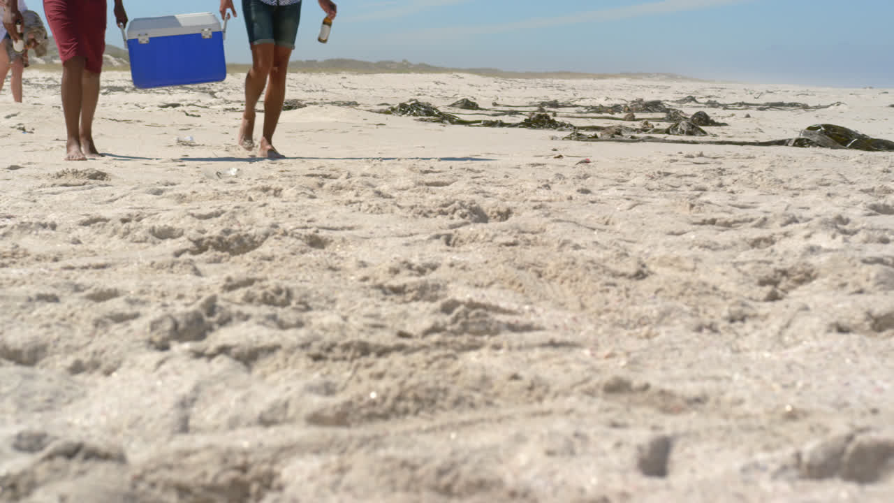 그룹 친구들이 피크닉 물건 4k를 들고 있습니다.