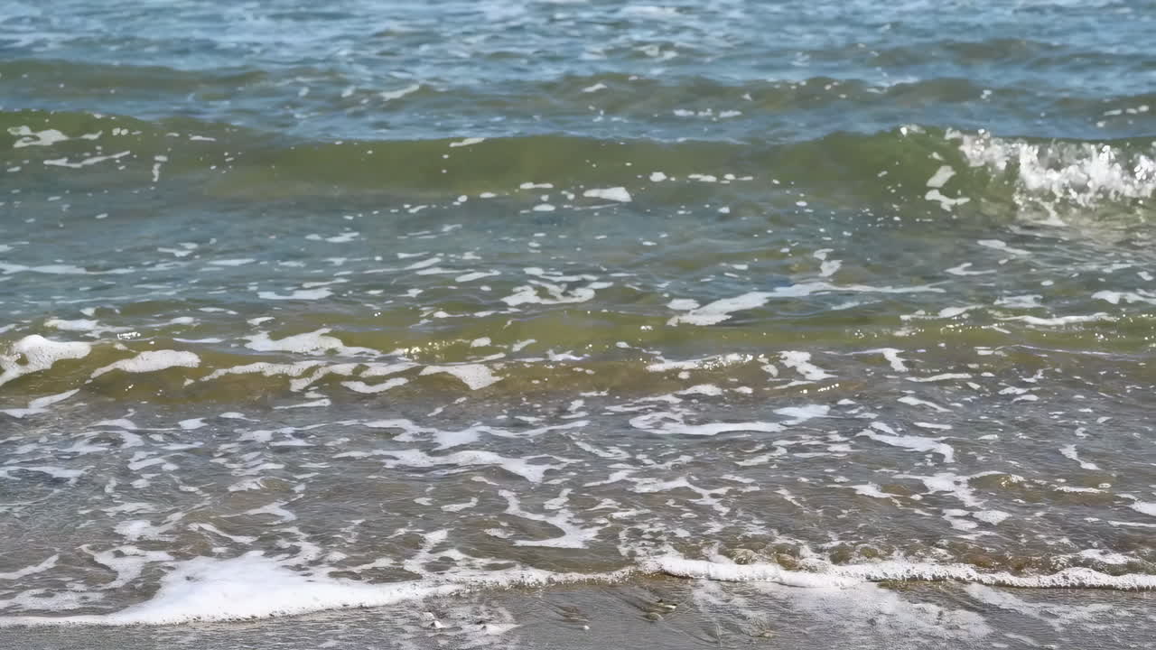 A palm tree against a vivid blue sky and turquoise sea horizon in Larnaca, Cyprus