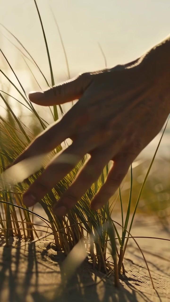 Vertical video: Brushing bare hand approaching from right over dune grass at beach, feeling texture