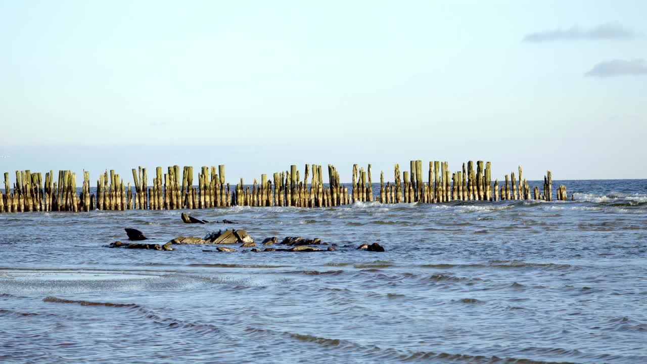 Old wooden pier and the remains of dark ship's bulwarks at the edge of the ocean, with stormy clouds gathering overhead, partially washed up parts of ships in the foreground