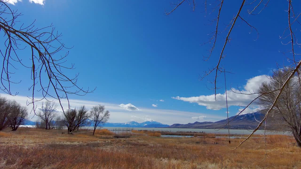 volando bajo desde una vista del lago y las montañas retroceden a través del árbol - vista aérea