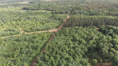 Cruce-De-Caminos-Suciedad-En-Medio-De-La-Nada-Bosque-Aislado-Rural-Perdido-Trato-Con-El-Diablo-Atardecer-Aéreo-Dron