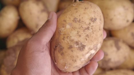 close-up of a fresh potato