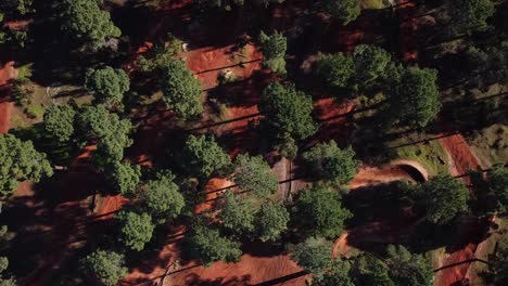 Off-Road-Bike-Riders-Racing-Through-Forest-On-Red-Dirt-Track