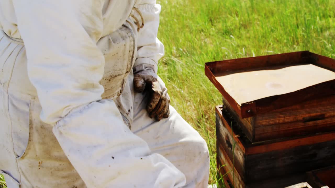 ⁇ 벌 키우는 사람 이  ⁇ 벌집 을 담배 를 피우고 있다