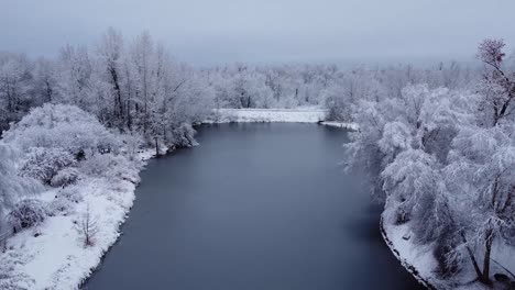 pond covered in ice surrounded by snow covered trees