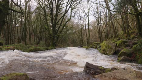 riverscape through ancient woodland