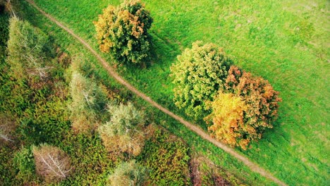 Aerial-Top-View-Over-Straight-Road-With-in-Colorful-Countryside-Autumn-Forest