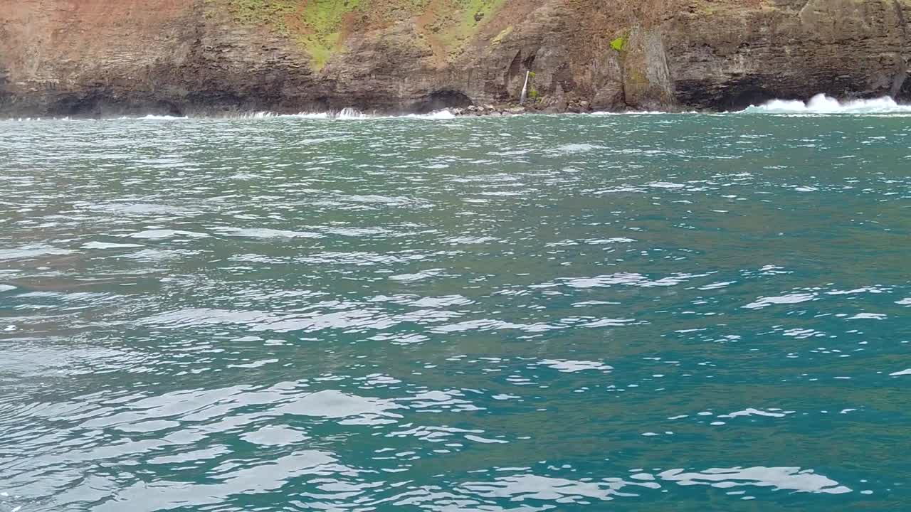 hd 120fps 하와이 카우아이는 바다 돌고래에서 보트를 타고 물 밖으로 머리를 터뜨리고 바위 절벽을 배경으로 멀리 떨어져 있습니다.