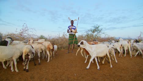 karamojong man holding baby goat in uganda, africa - static shot