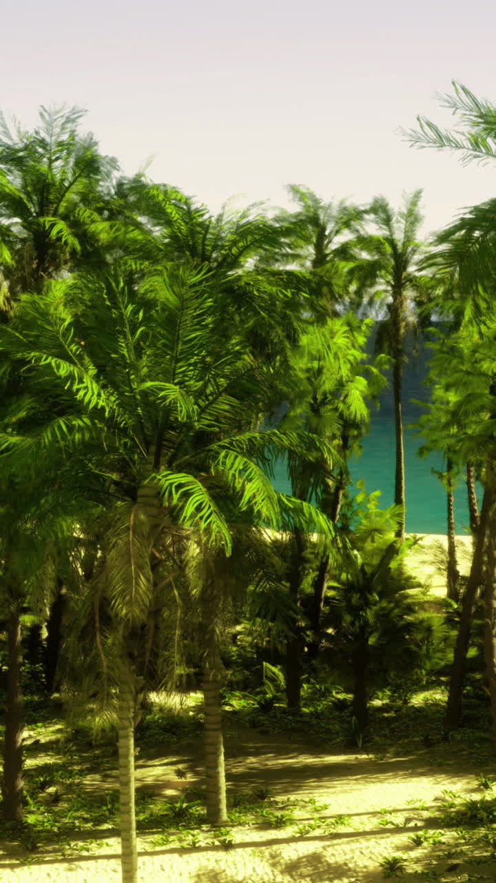 Lush tropical forest beside calm ocean under bright sky during daytime