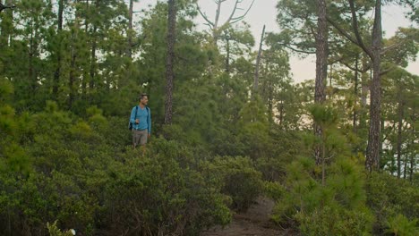 Male-hiker-walking-in-forest