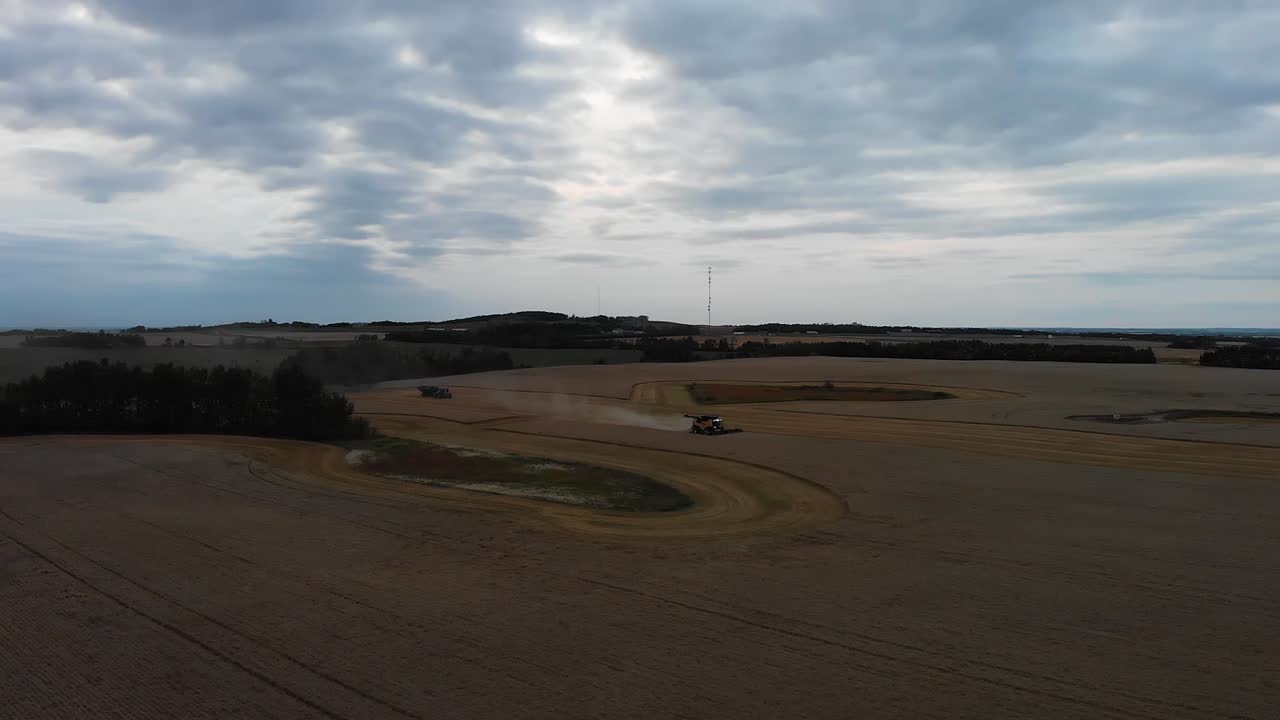 toma aérea sobre un campo de trigo de cosecha combinada en las praderas de alberta