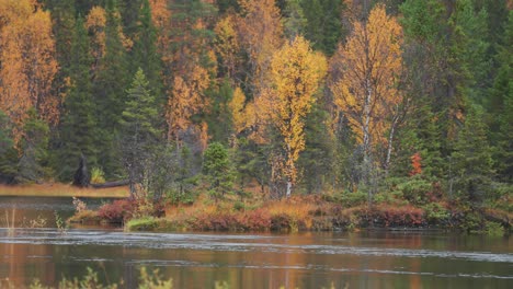 El-Bosque-Otoñal-Pintado-Con-Colores-Vibrantes-Adorna-Las-Orillas-Del-Río-Nevado