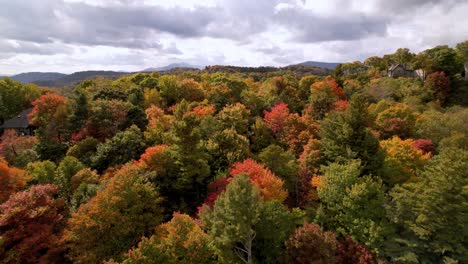 fall aerial at treetop level near boone nc, north carolina