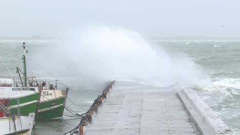 Hafen-Während-Des-Wintersturms-Mit-Vögeln