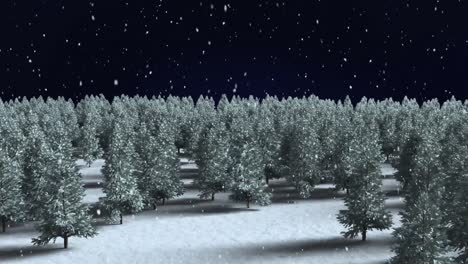 Snow-falling-over-multiple-tree-on-winter-landscape-against-black-background
