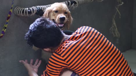 owner cuddles happy dog during grooming session