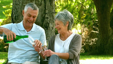 Pareja-De-Jubilados-Bebiendo-Champán-En-El-Parque