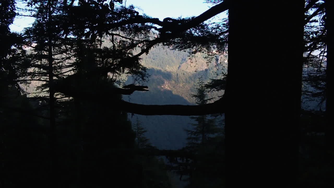 Garhwal Himalayan range view at the background through the silhouette of forest trees in Mussoorie, slow motion forward dolly shot.