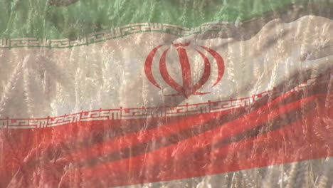 Digital-composition-of-waving-iran-flag-against-close-up-of-crops-in-farm-field