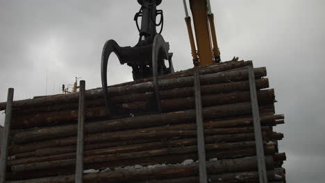 static view of crane collecting stacked logs. daylight