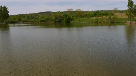 Flores-Silvestres-Frescas-De-Primavera.-Orilla-Del-Lago