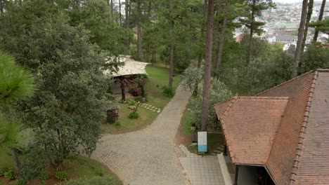 aerial view of a resort property nestled within a pine forest